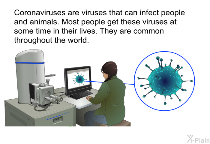 Coronaviruses are viruses that can infect people and animals. Most people get these viruses at some time in their lives. They are common throughout the world.