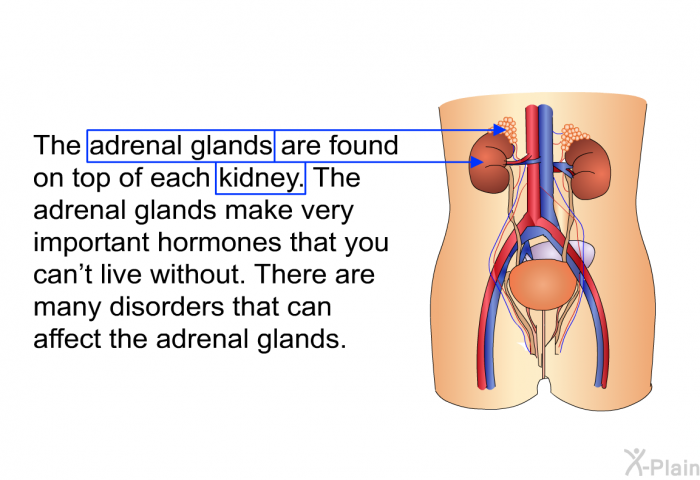 The adrenal glands are found on top of each kidney. The adrenal glands make very important hormones that you can't live without. There are many disorders that can affect the adrenal glands.
