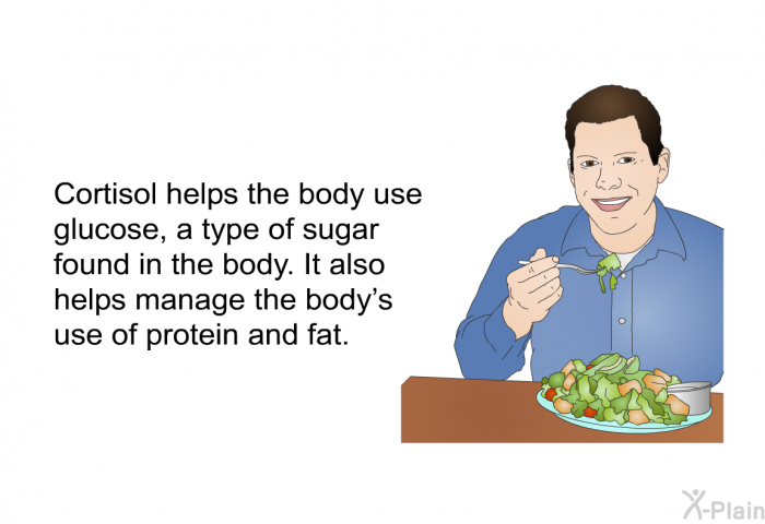 Cortisol helps the body use glucose, a type of sugar found in the body. It also helps manage the body’s use of protein and fat.