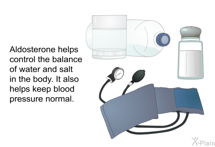 Aldosterone helps control the balance of water and salt in the body. It also helps keep blood pressure normal.