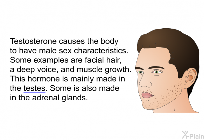 Testosterone causes the body to have male sex characteristics. Some examples are facial hair, a deep voice, and muscle growth. This hormone is mainly made in the testes. Some is also made in the adrenal glands.
