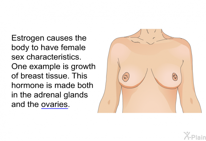 Estrogen causes the body to have female sex characteristics. One example is growth of breast tissue. This hormone is made both in the adrenal glands and the ovaries.