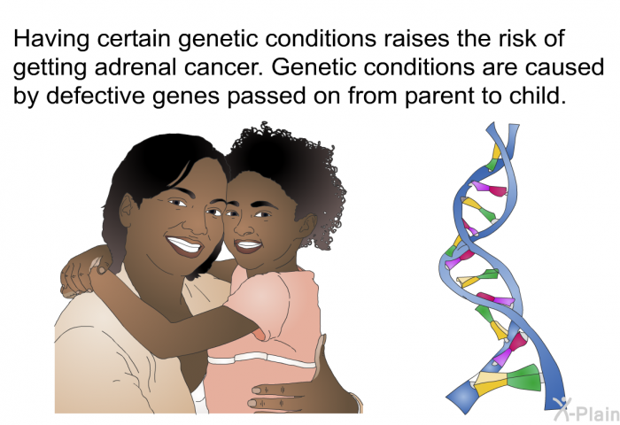 Having certain genetic conditions raises the risk of getting adrenal cancer. Genetic conditions are caused by defective genes passed on from parent to child.