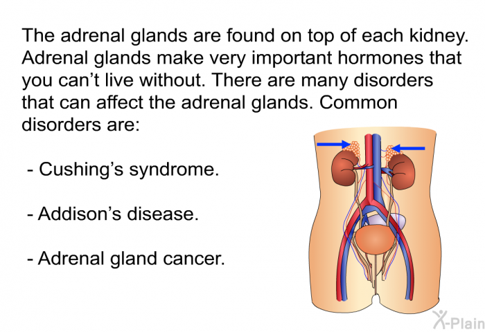 The adrenal glands are found on top of each kidney. Adrenal glands make very important hormones that you can't live without. There are many disorders that can affect the adrenal glands. Common disorders are:  Cushing's syndrome. Addison's disease. Adrenal gland cancer.