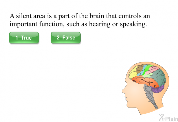 A silent area is a part of the brain that controls an important function, such as hearing or speaking. Press True or False