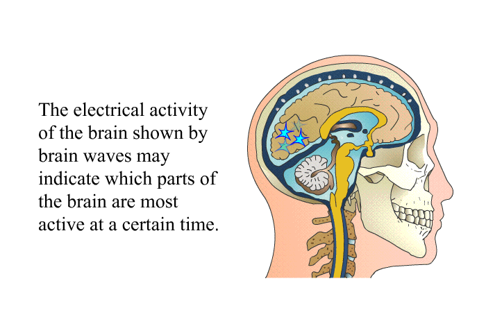 The electrical activity of the brain shown by brain waves may indicate which parts of the brain are most active at a certain time.