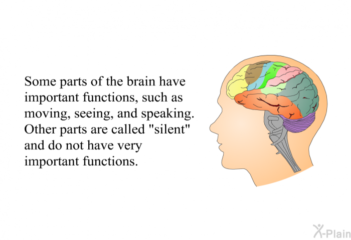 Some parts of the brain have important functions, such as moving, seeing, and speaking. Other parts are called “silent” and do not have very important functions.