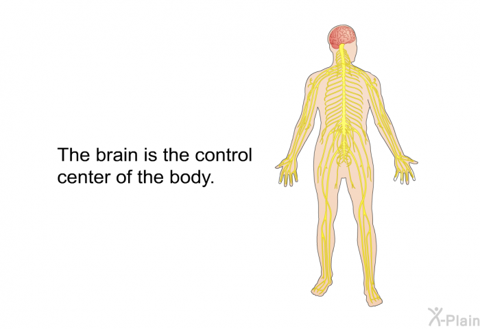 The brain is the control center of the body.