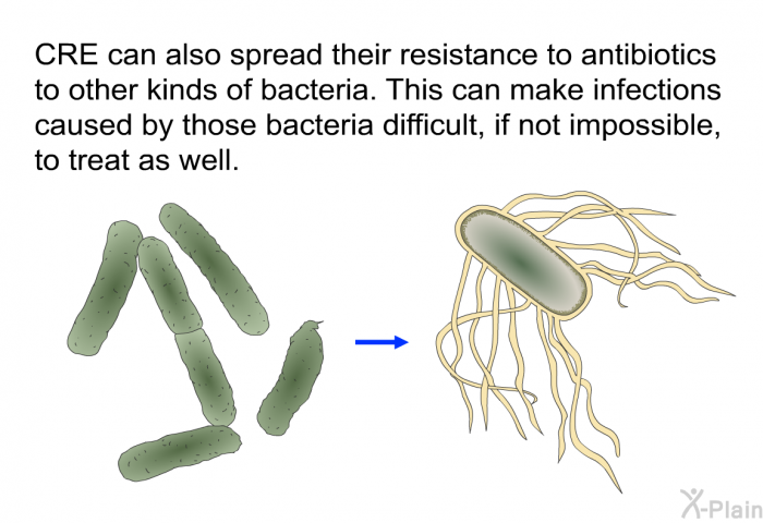 CRE can also spread their resistance to antibiotics to other kinds of bacteria. This can make infections caused by those bacteria difficult, if not impossible, to treat as well.