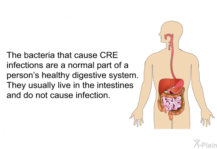 The bacteria that cause CRE infections are a normal part of a person's healthy digestive system. They usually live in the intestines and do not cause infection.