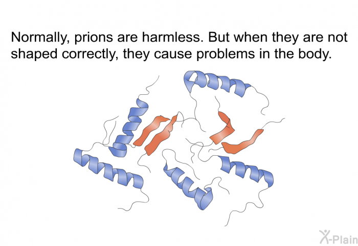 Normally, prions are harmless. But when they are not shaped correctly, they cause problems in the body.