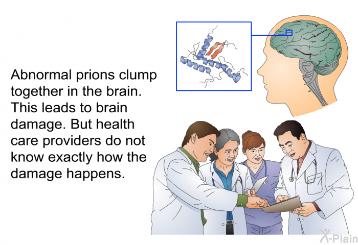 Abnormal prions clump together in the brain. This leads to brain damage. But health care providers do not know exactly how the damage happens.