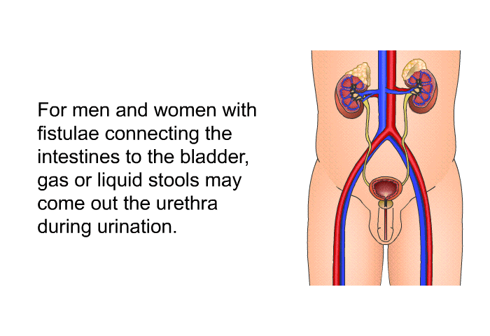 For men and women with fistulae connecting the intestines to the bladder, gas or liquid stools may come out the urethra during urination.