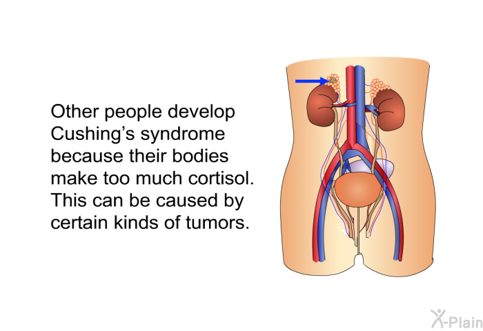 Other people develop Cushing's syndrome because their bodies make too much cortisol. This can be caused by certain kinds of tumors.