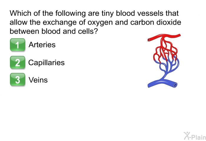Which of the following are tiny blood vessels that allow the exchange of oxygen and carbon dioxide between blood and cells?  Arteries Capillaries Veins