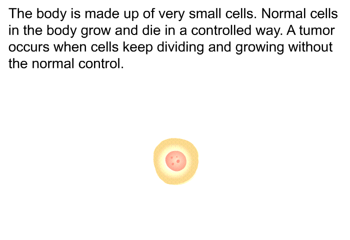 The body is made up of very small cells. Normal cells in the body grow and die in a controlled way. A tumor occurs when cells keep dividing and growing without the normal control.