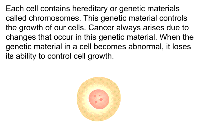 Each cell contains hereditary or genetic materials called chromosomes. This genetic material controls the growth of our cells. Cancer always arises due to changes that occur in this genetic material. When the genetic material in a cell becomes abnormal, it loses its ability to control cell growth.