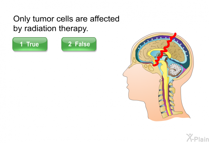 Only tumor cells are affected by radiation therapy.