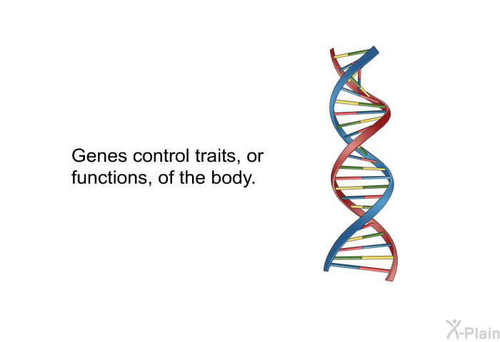 Genes control traits, or functions, of the body.