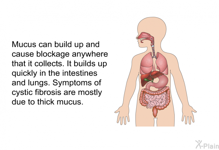 Mucus can build up and cause blockage anywhere that it collects. It builds up quickly in the intestines and lungs. Symptoms of cystic fibrosis are mostly due to thick mucus.