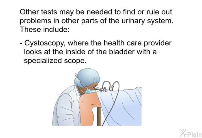 Other tests may be needed to find or rule out problems in other parts of the urinary system. These include:  Cystoscopy, where the health care provider looks at the inside of the bladder with a specialized scope.