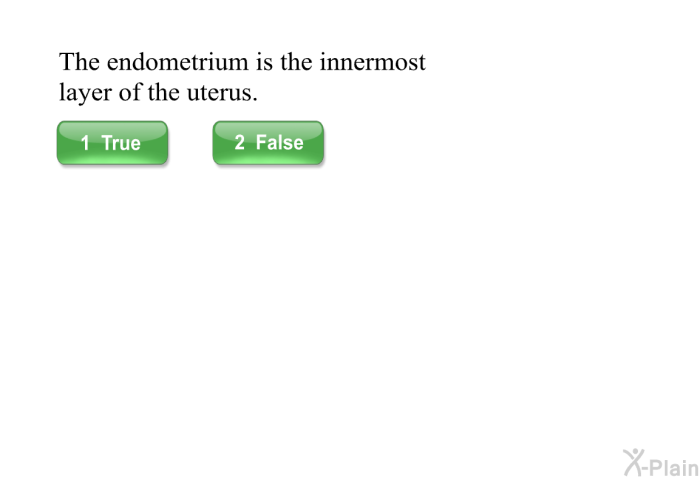 The endometrium is the innermost layer of the uterus.
