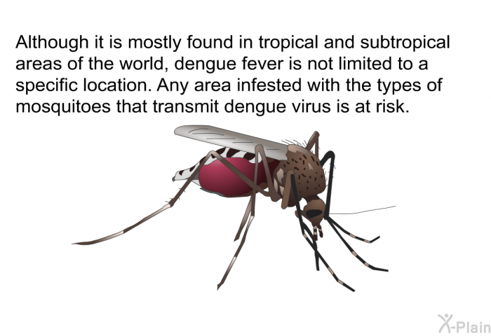 Although it is mostly found in tropical and subtropical areas of the world, dengue fever is not limited to a specific location. Any area infested with the types of mosquitoes that transmit dengue virus is at risk.