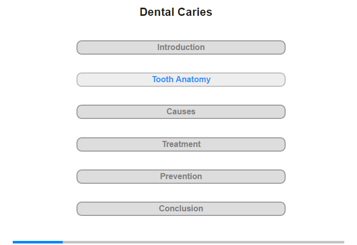 Tooth Anatomy