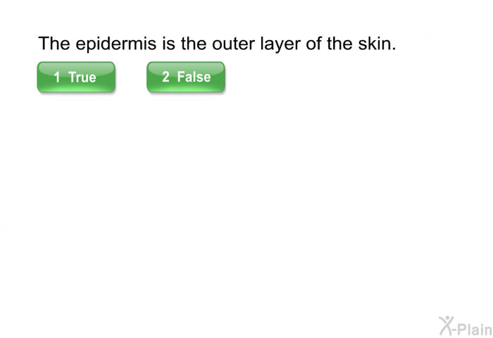 The epidermis is the outer layer of the skin.