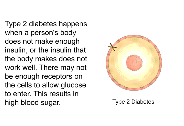 Type 2 diabetes happens when a person's body does not make enough insulin, or the insulin that the body makes does not work well. There may not be enough receptors on the cells to allow glucose to enter. This results in high blood sugar.