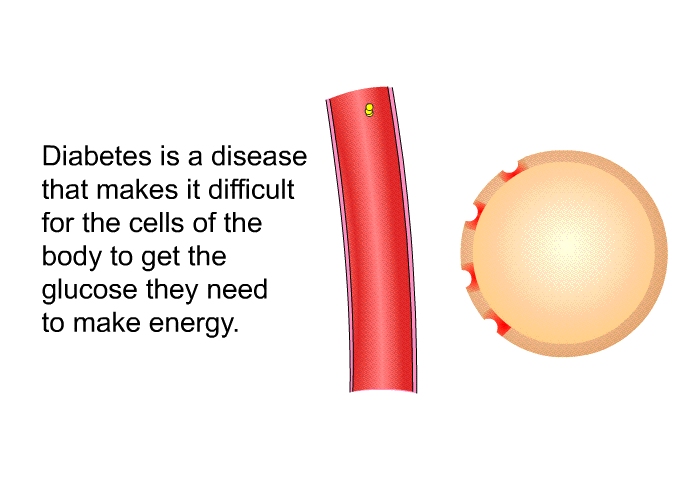 Diabetes is a disease that makes it difficult for the cells of the body to get the glucose they need to make energy.