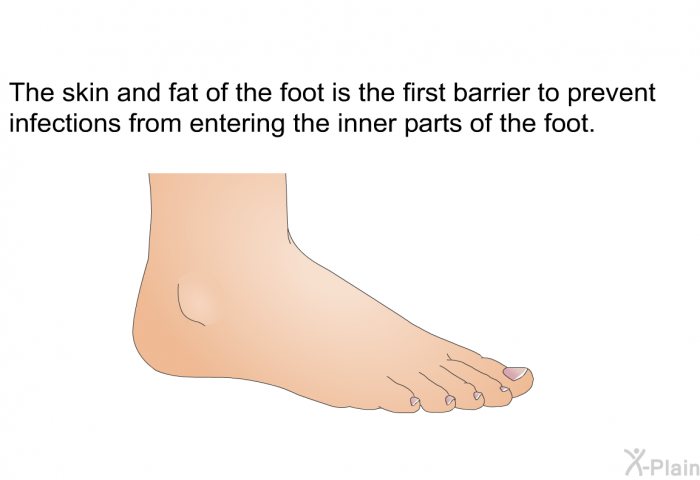 The skin and fat of the foot is the first barrier to prevent infections from entering the inner parts of the foot.