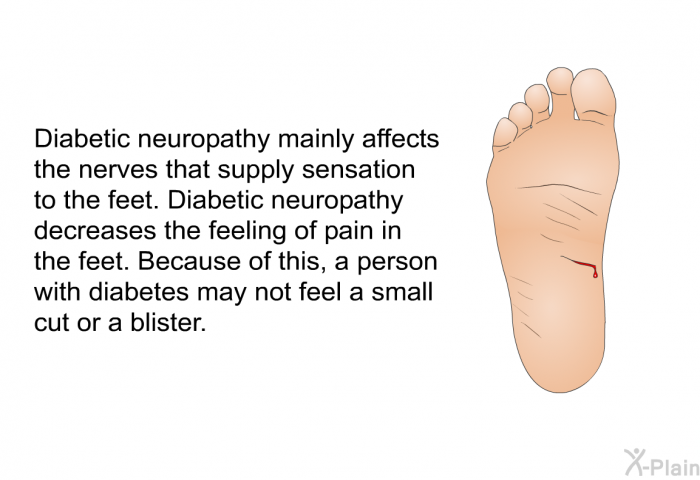 Diabetic neuropathy mainly affects the nerves that supply sensation to the feet. Diabetic neuropathy decreases the feeling of pain in the feet. Because of this, a person with diabetes may not feel a small cut or a blister.