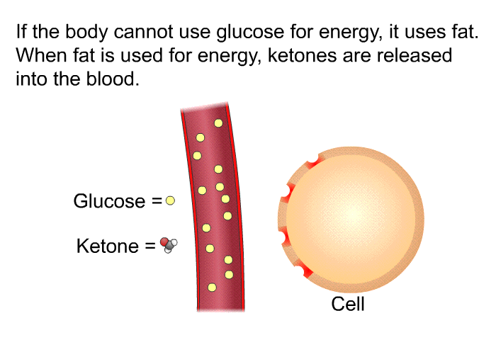 If the body cannot use glucose for energy, it uses fat. When fat is used for energy, ketones are released into the blood.