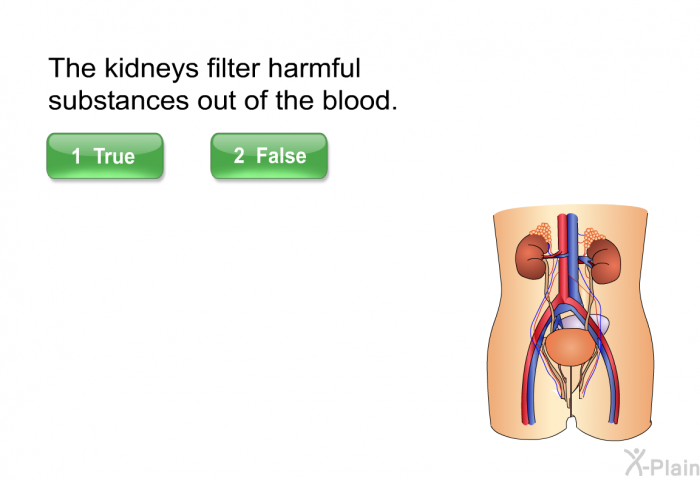 The kidneys filter harmful substances out of the blood. Select True or False.