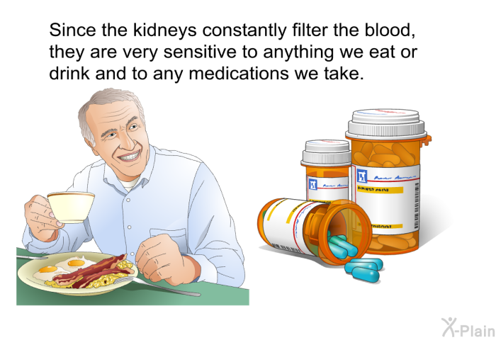 Since the kidneys constantly filter the blood, they are very sensitive to anything we eat or drink and to any medications we take.
