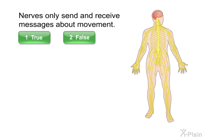 Nerves only send and receive messages about movement. Select True or False.