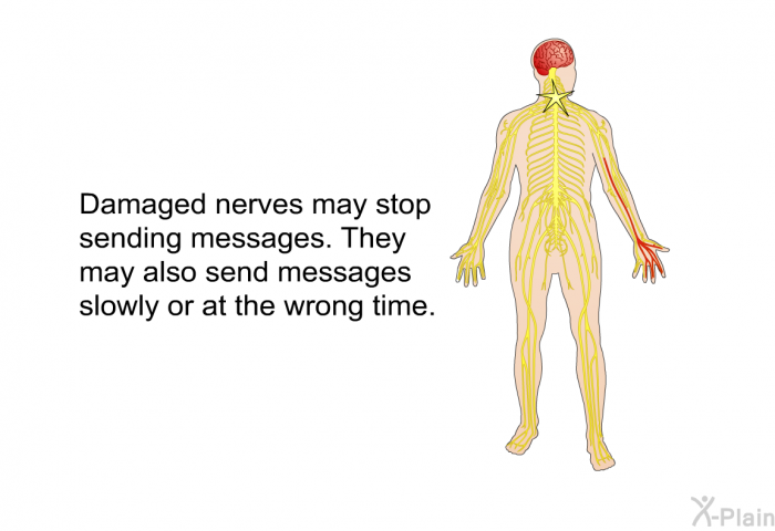 Damaged nerves may stop sending messages. They may also send messages slowly or at the wrong time.