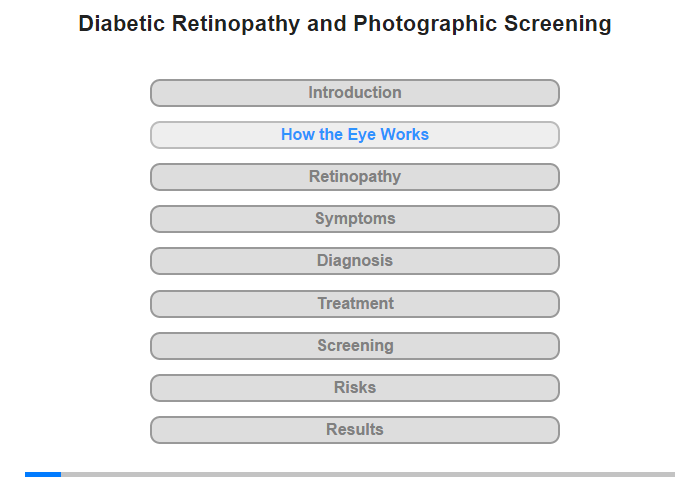 How the Eye Works