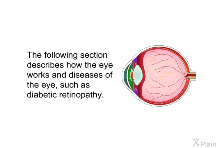 The following section describes how the eye works and diseases of the eye, such as diabetic retinopathy.