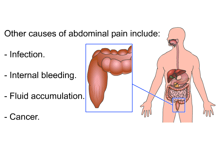 Other causes of abdominal pain include:  Infection. Internal bleeding. Fluid accumulation. Cancer.