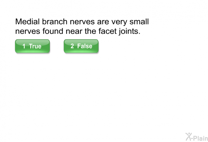 Medial branch nerves are very small nerves found near the facet joints. T/F