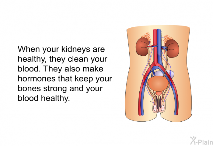 When your kidneys are healthy, they clean your blood. They also make hormones that keep your bones strong and your blood healthy.