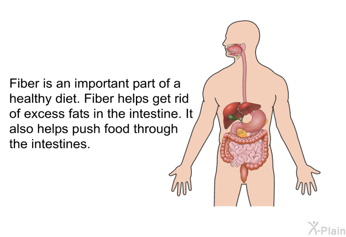 Fiber is an important part of a healthy diet. Fiber helps get rid of excess fats in the intestine. It also helps push food through the intestines.