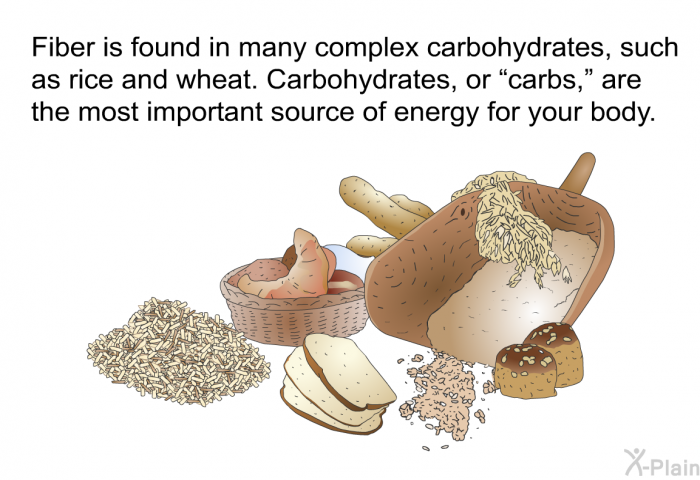Fiber is found in many complex carbohydrates, such as rice and wheat. Carbohydrates, or “carbs,” are the most important source of energy for your body.