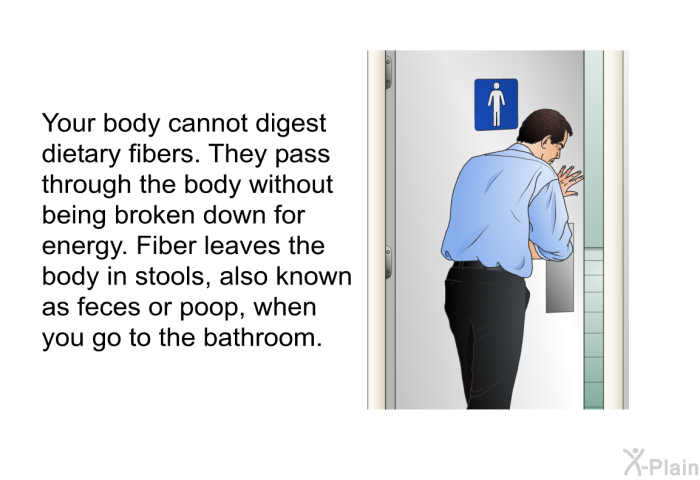 Your body cannot digest dietary fibers. They pass through the body without being broken down for energy. Fiber leaves the body in stools, also known as feces or poop, when you go to the bathroom.