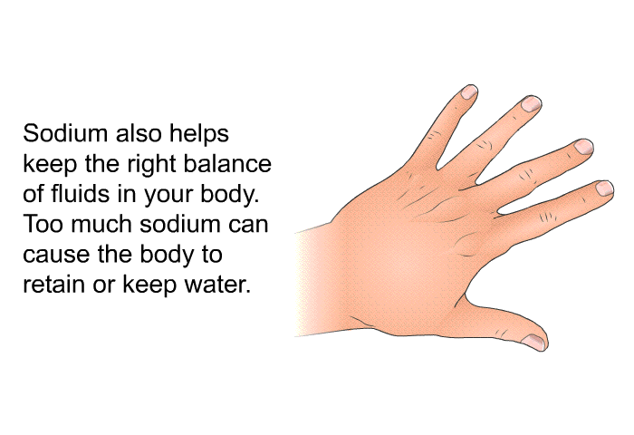 Sodium also helps keep the right balance of fluids in your body. Too much sodium can cause the body to retain or keep water.