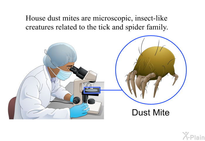 House dust mites are microscopic, insect-like creatures related to the tick and spider family.