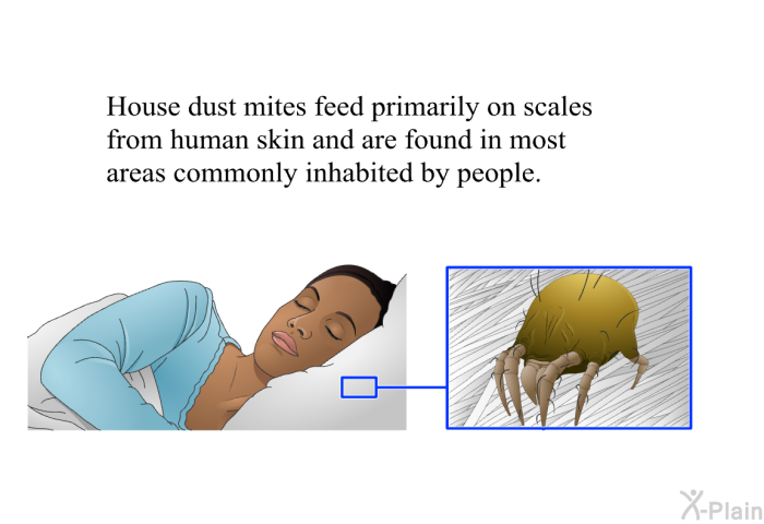 House dust mites feed primarily on scales from human skin and are found in most areas commonly inhabited by people.