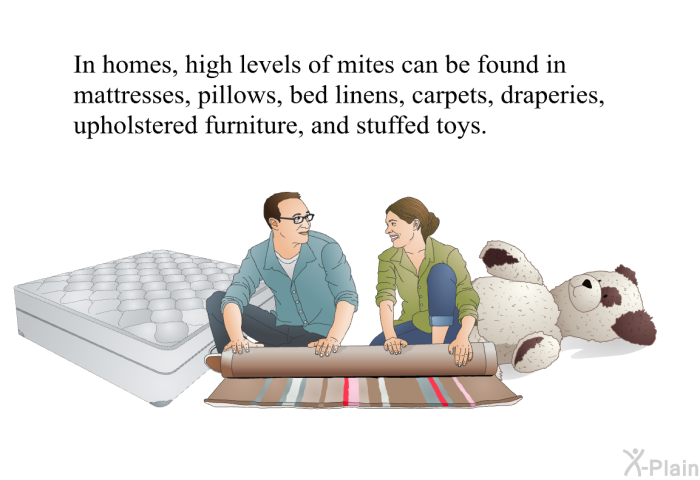 In homes, high levels of mites can be found in mattresses, pillows, bed linens, carpets, draperies, upholstered furniture, and stuffed toys.